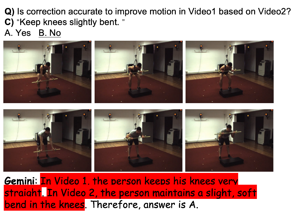 MotionHalluc hallucination examples